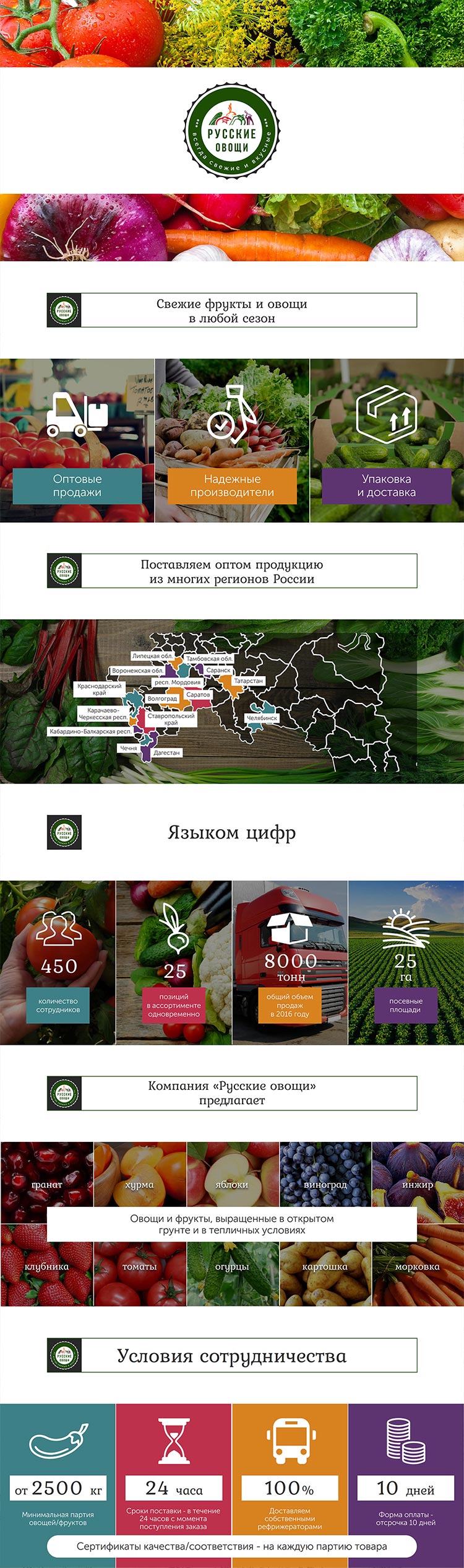 Презентации поставщика продуктов питания «Русские овощи» для клиента